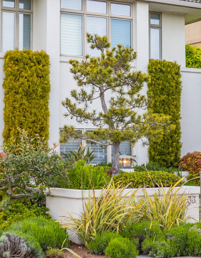 Modern house facade with lush green garden showcasing minimalist architecture.
