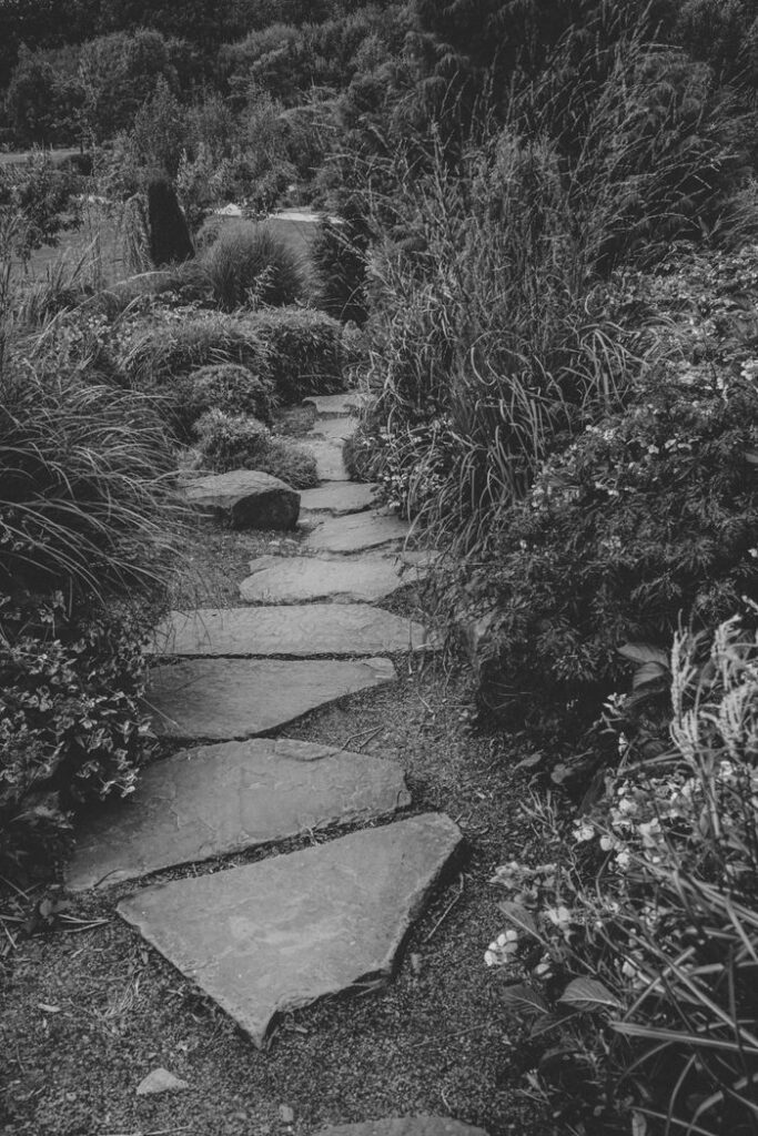 Black and white photo of a tranquil stone pathway surrounded by lush greenery in Cork, Ireland.