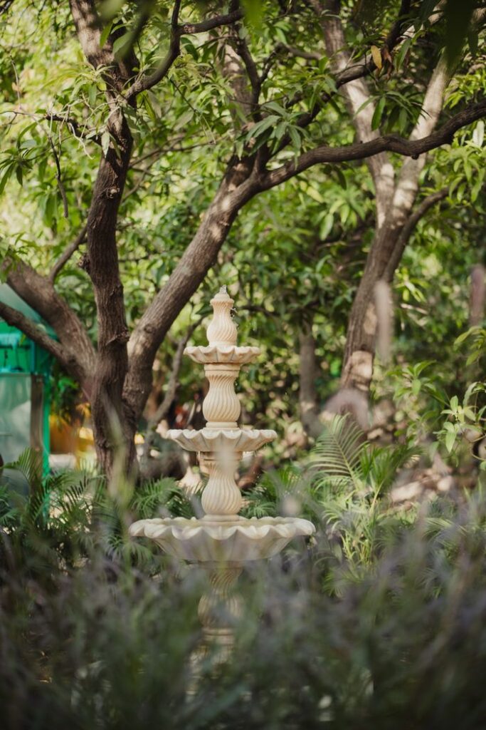 Tranquil garden scene in Amblash, Gujarat featuring an ornate stone fountain surrounded by lush greenery.